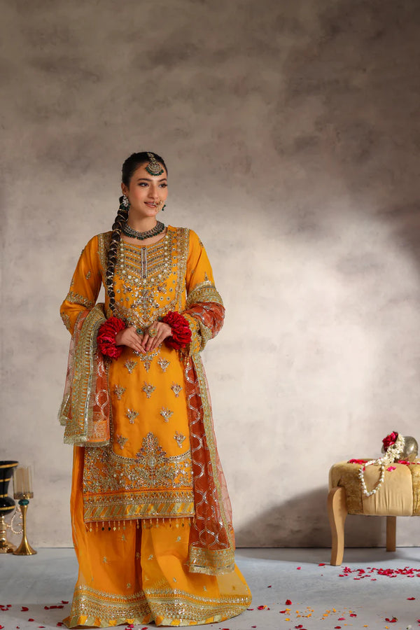 Zarina Organza Formal Suit -NFD-304